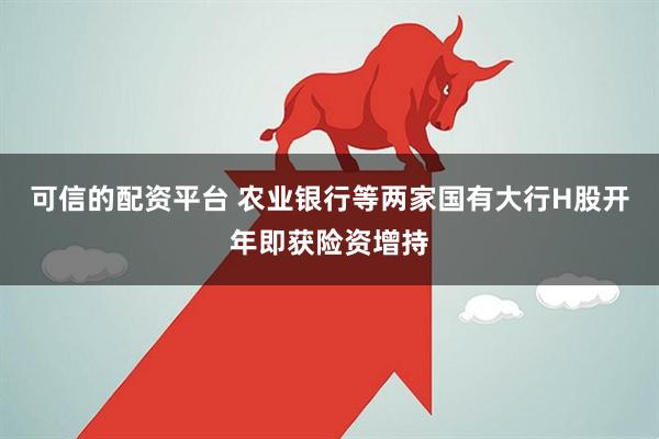 可信的配资平台 农业银行等两家国有大行H股开年即获险资增持