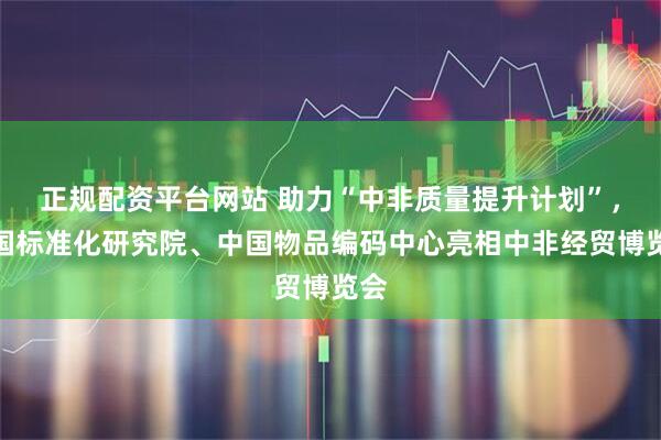 正规配资平台网站 助力“中非质量提升计划”，中国标准化研究院、中国物品编码中心亮相中非经贸博览会