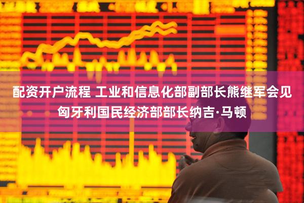 配资开户流程 工业和信息化部副部长熊继军会见匈牙利国民经济部部长纳吉·马顿