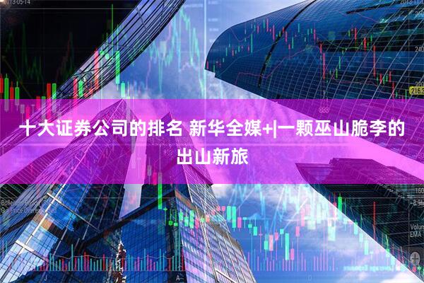 十大证券公司的排名 新华全媒+|一颗巫山脆李的出山新旅